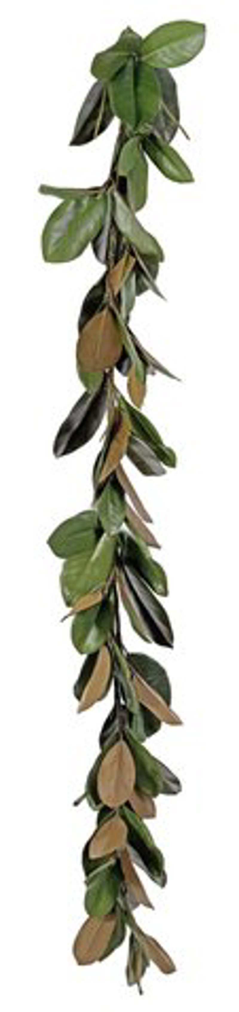 Magnólia Verde 180cm