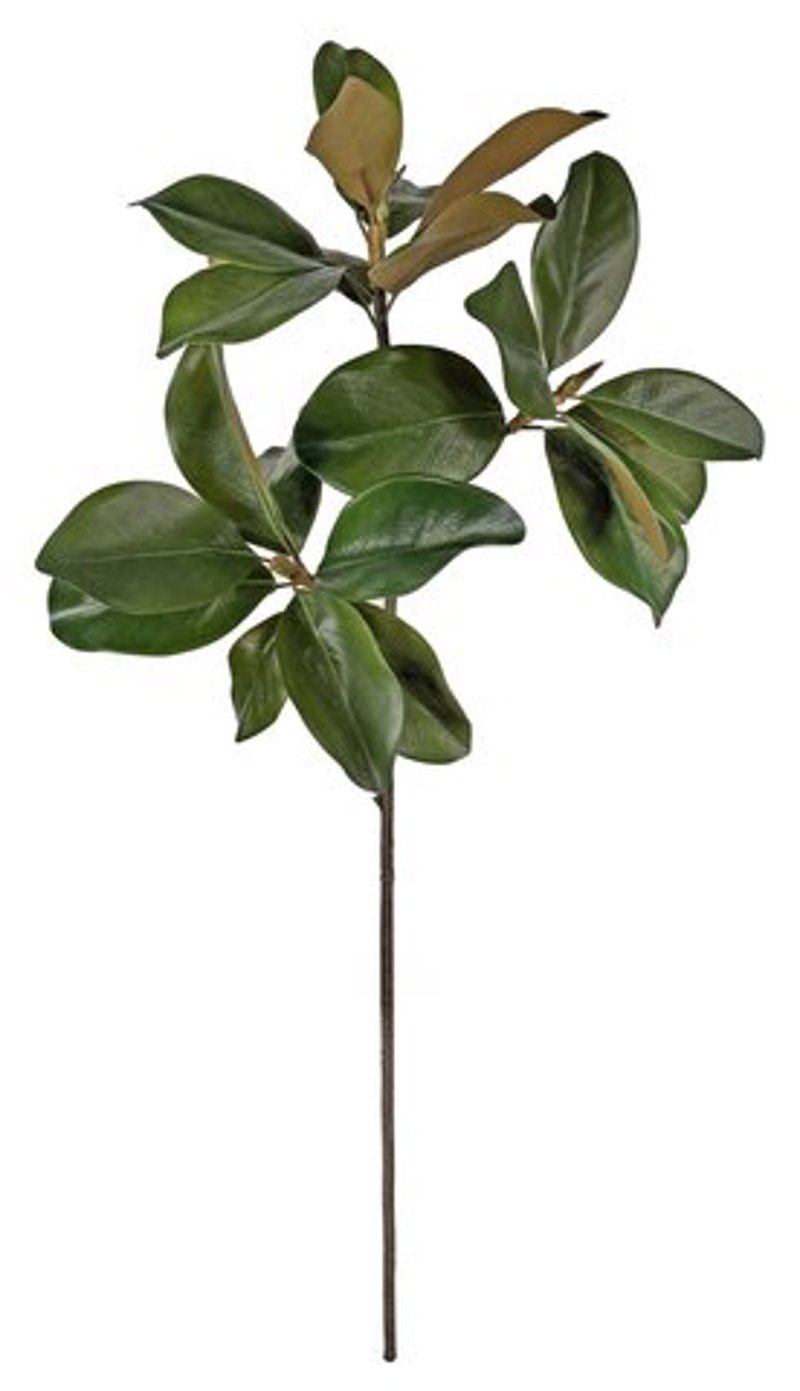 Magnólia Verde 95cm