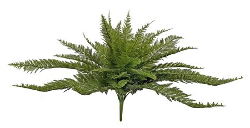 Arbusto Verde 65x65