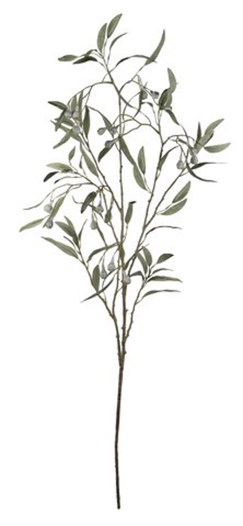 Eucalipto com Bagas 120cm
