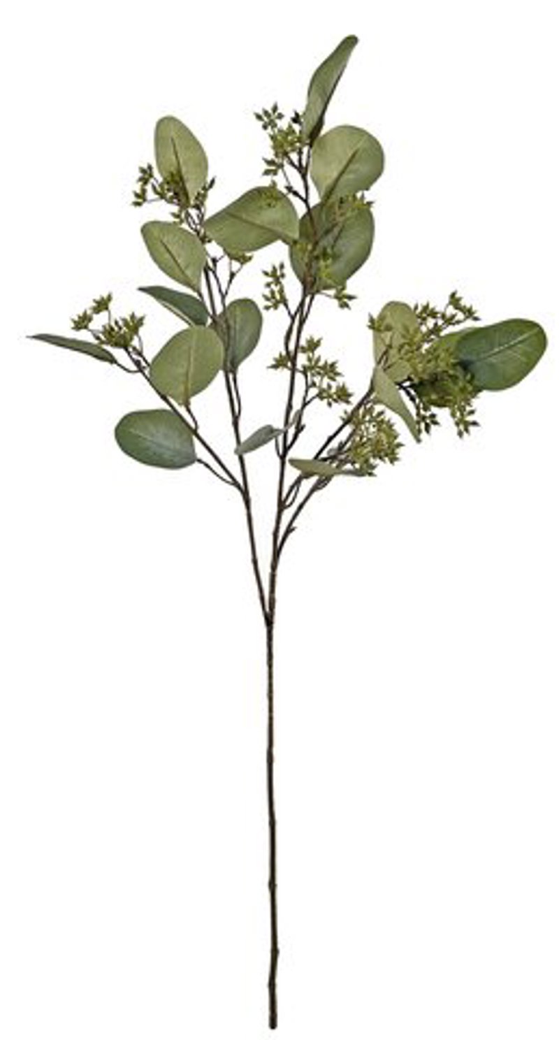 Eucalipto Sementes Verde-Cinza 75cm