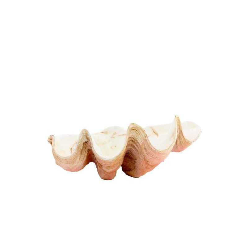 CONCHA SHELL 41X25X17CM