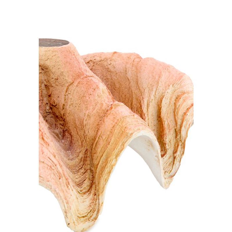 CONCHA SHELL 41X25X17CM