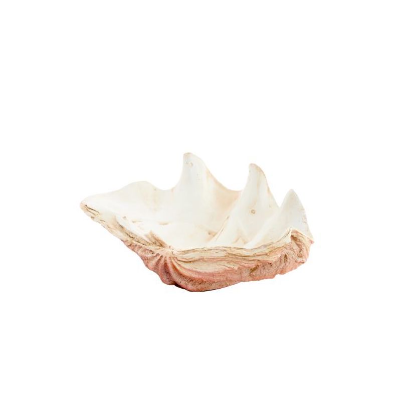 CONCHA SHELL 41X25X17CM