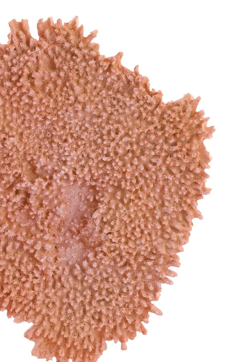 Ornamento Coral Laranja