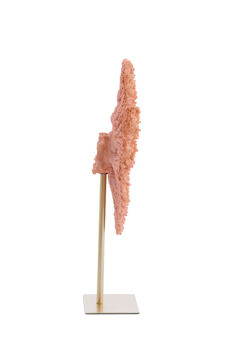 Ornamento Coral Laranja