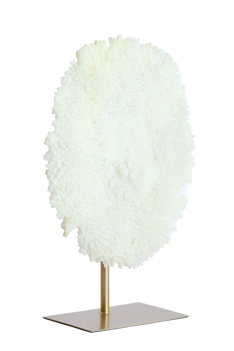 CORAL COM BASE EM BRONZE