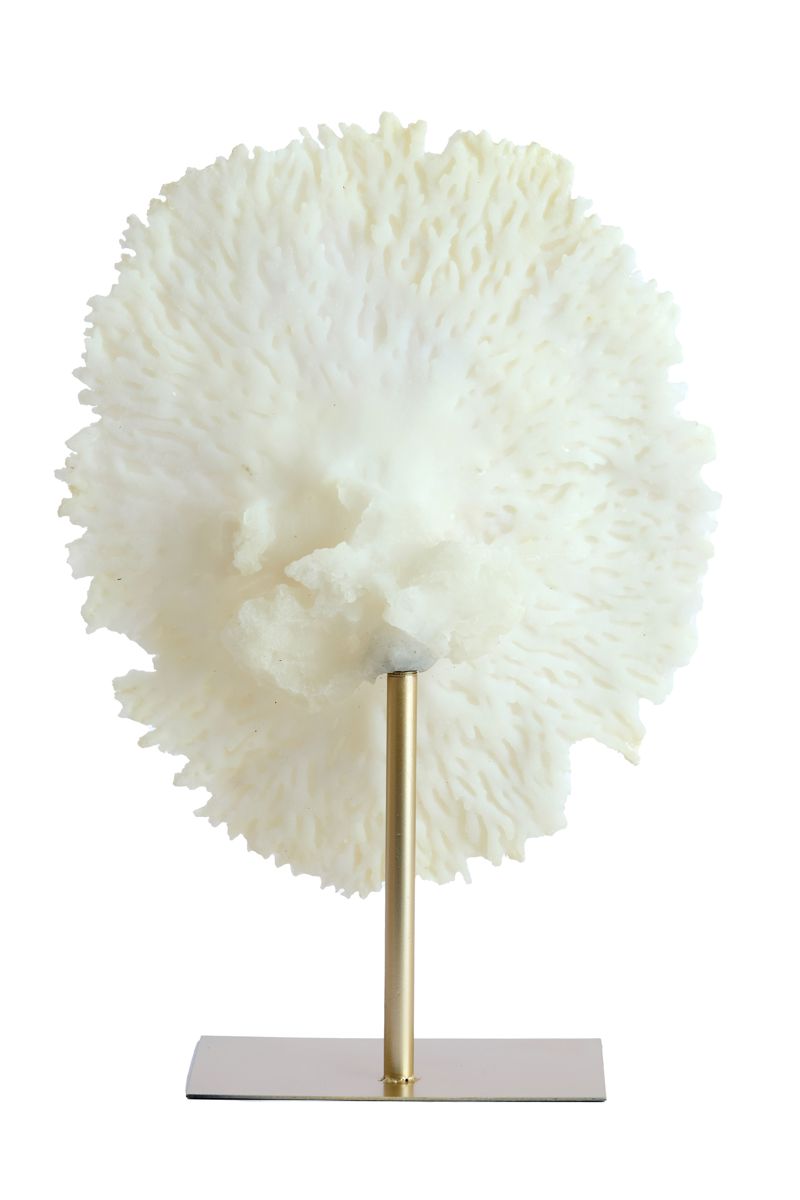 CORAL COM BASE EM BRONZE