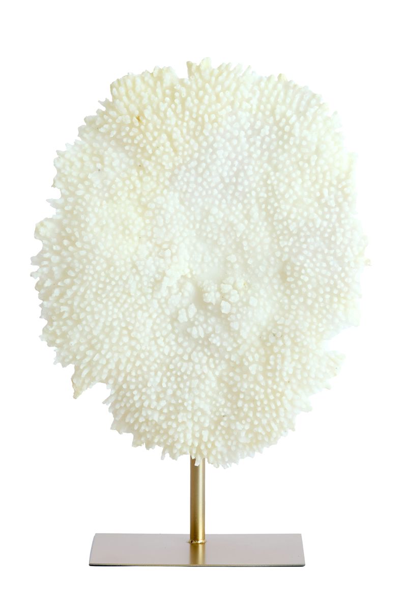 CORAL COM BASE EM BRONZE
