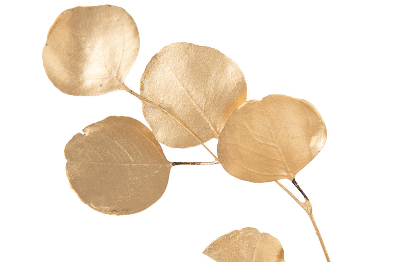 Eucalipto Seco Dourado 60cm