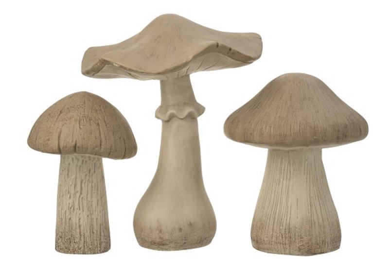 Cogumelos Resina Matt Cinzento L
