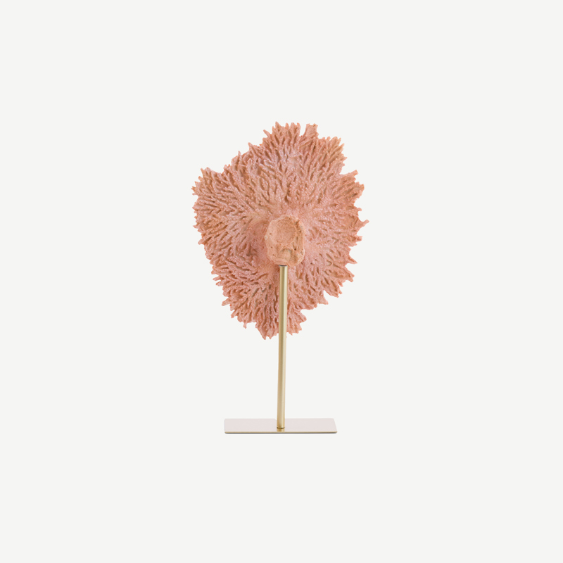  Escultura Coral Rosé