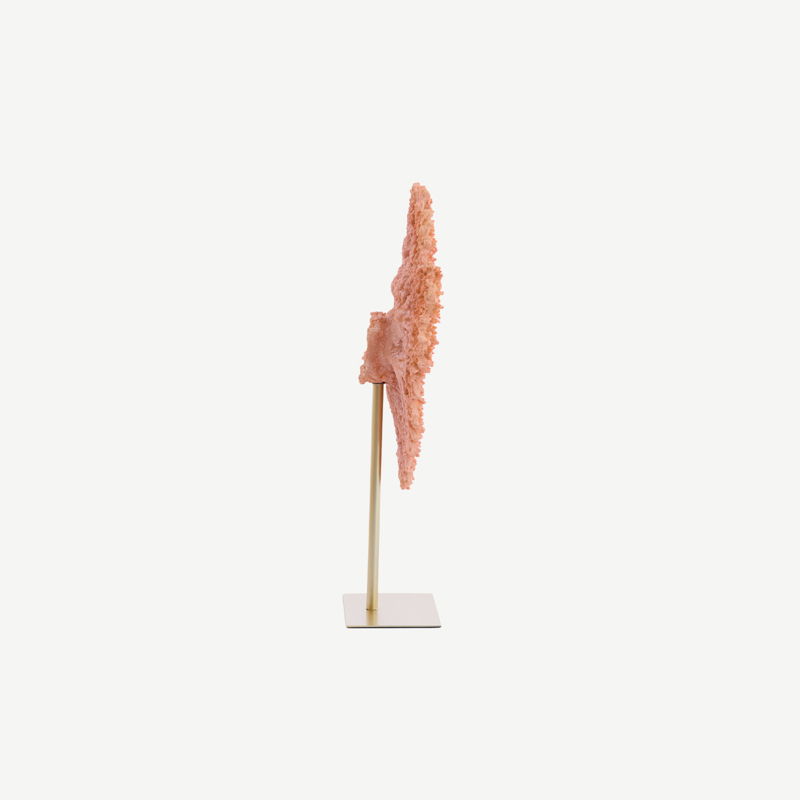  Escultura Coral Rosé