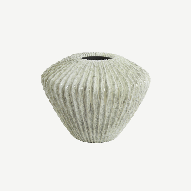 Vaso Cacti