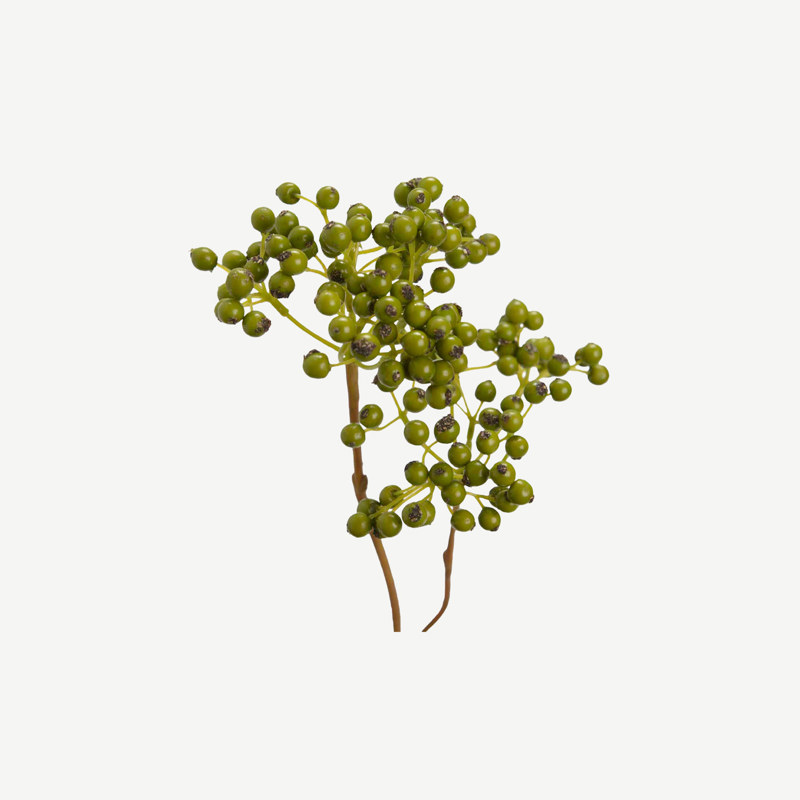 Ramo Berberis