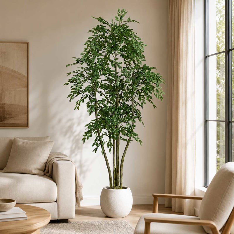 Planta Ulmeiro