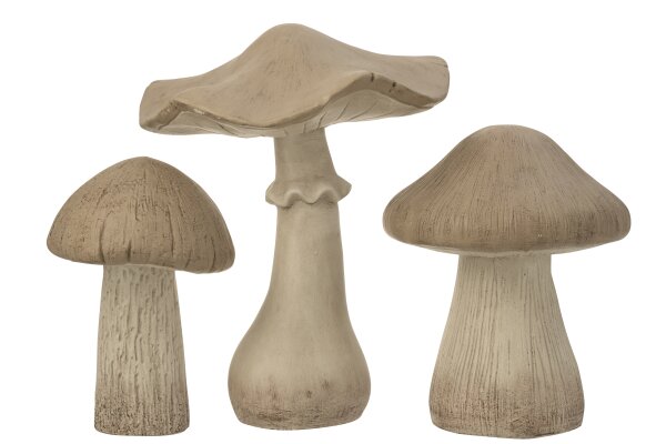 Cogumelos Resina Matt Cinzento L